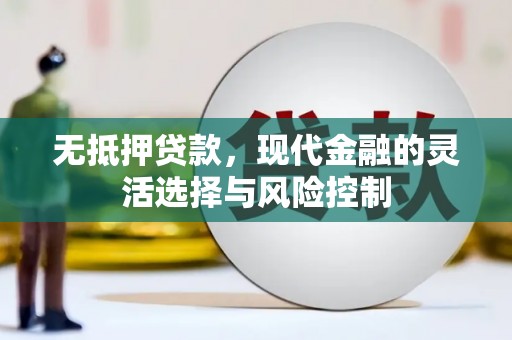 赞皇无抵押贷款，现代金融的灵活选择与风险控制