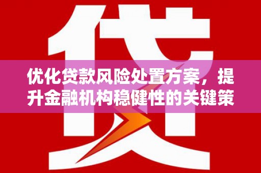 赞皇优化贷款风险处置方案，提升金融机构稳健性的关键策略