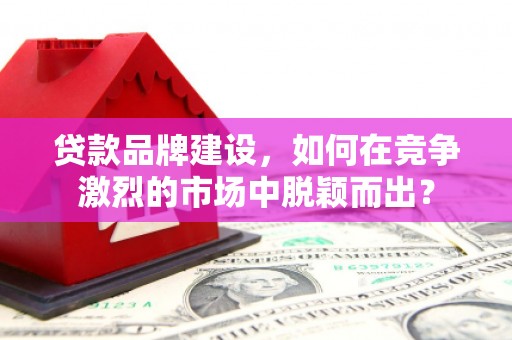 赞皇贷款品牌建设，如何在竞争激烈的市场中脱颖而出？