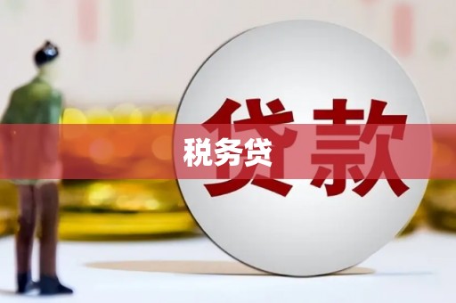 赞皇税务贷