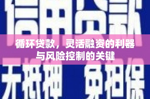 赞皇循环贷款，灵活融资的利器与风险控制的关键