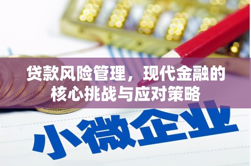 赞皇贷款风险管理，现代金融的核心挑战与应对策略
