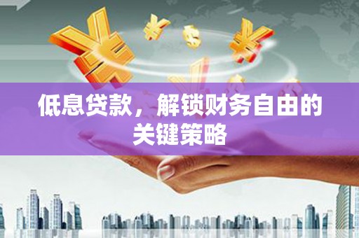 赞皇低息贷款，解锁财务自由的关键策略