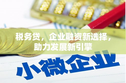 赞皇税务贷，企业融资新选择，助力发展新引擎