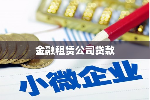 赞皇金融租赁公司贷款