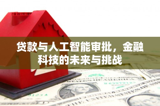 赞皇贷款与人工智能审批，金融科技的未来与挑战