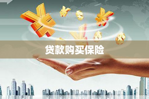 赞皇贷款购买保险
