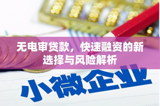 赞皇无电审贷款，快速融资的新选择与风险解析