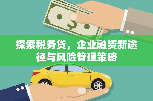 赞皇探索税务贷，企业融资新途径与风险管理策略