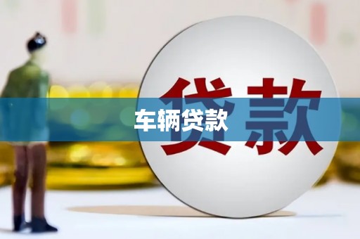 赞皇车辆贷款
