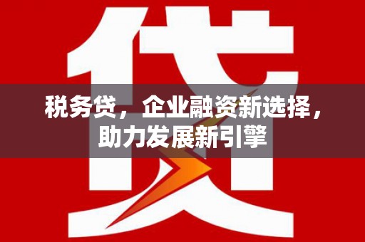 赞皇税务贷，企业融资新选择，助力发展新引擎