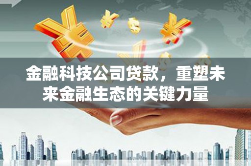 赞皇金融科技公司贷款，重塑未来金融生态的关键力量