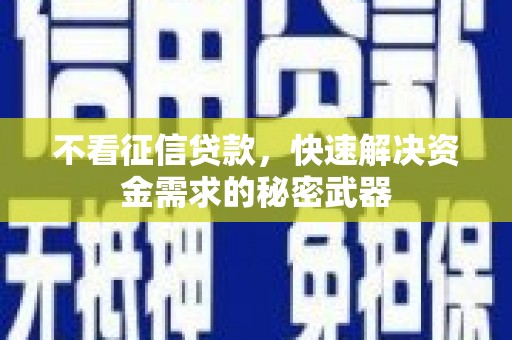 赞皇不看征信贷款，快速解决资金需求的秘密武器
