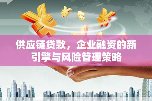 赞皇供应链贷款，企业融资的新引擎与风险管理策略