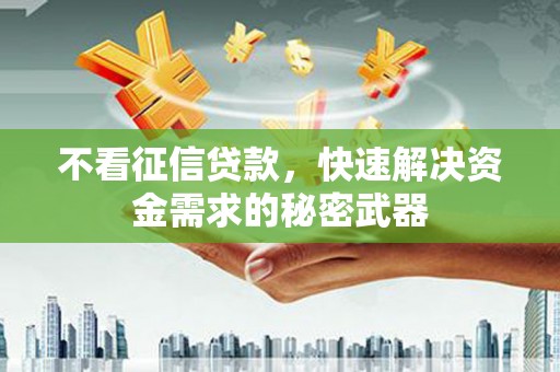 赞皇不看征信贷款，快速解决资金需求的秘密武器