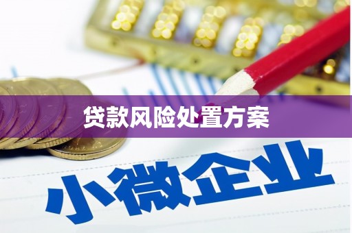 赞皇贷款风险处置方案