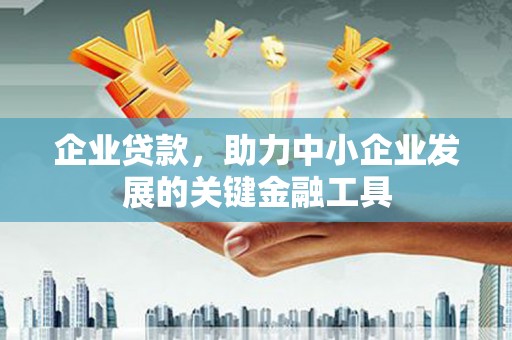 赞皇企业贷款，助力中小企业发展的关键金融工具