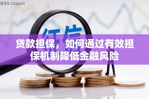 赞皇贷款担保，如何通过有效担保机制降低金融风险