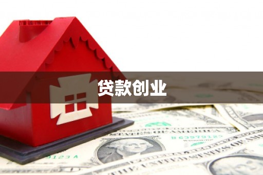 赞皇贷款创业