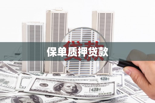 赞皇保单质押贷款