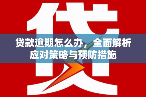 赞皇贷款逾期怎么办，全面解析应对策略与预防措施