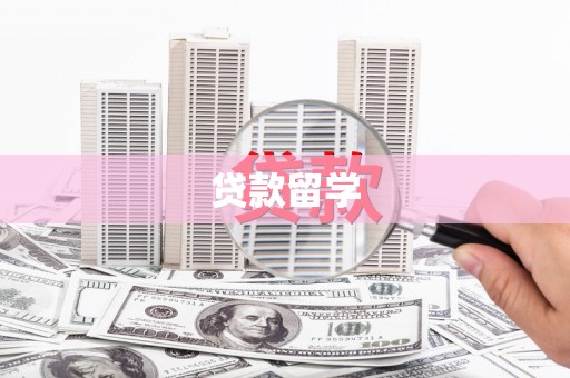 赞皇贷款留学