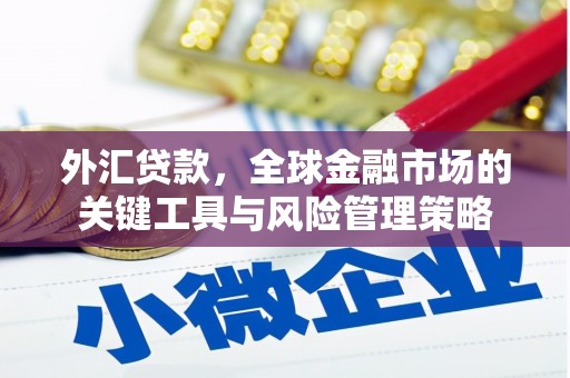 赞皇外汇贷款，全球金融市场的关键工具与风险管理策略
