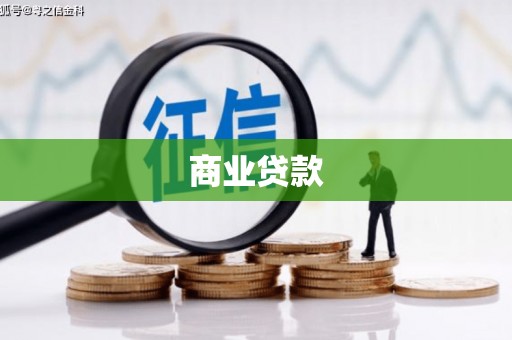 赞皇商业贷款