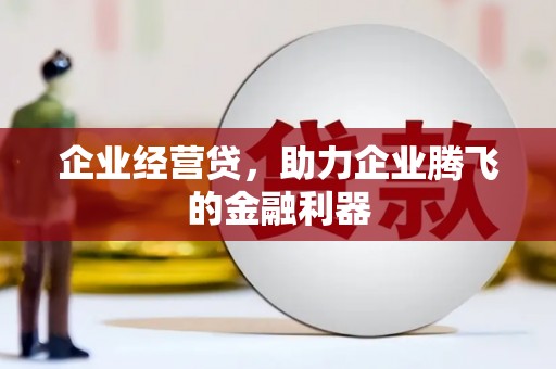 赞皇企业经营贷，助力企业腾飞的金融利器