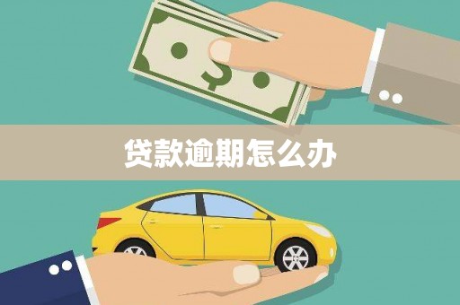 赞皇贷款逾期怎么办