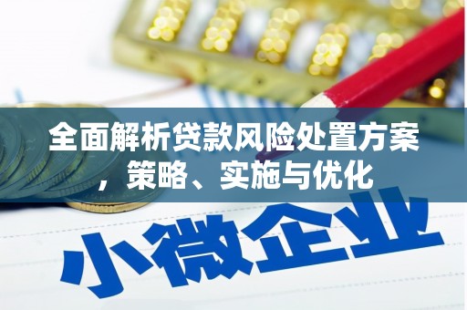 赞皇全面解析贷款风险处置方案，策略、实施与优化