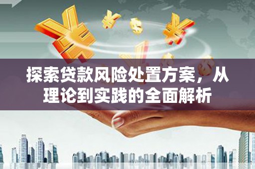 赞皇探索贷款风险处置方案，从理论到实践的全面解析