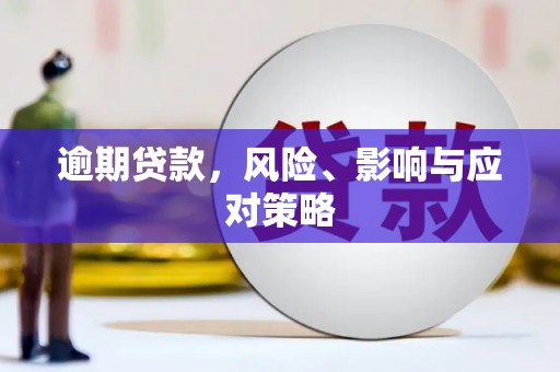 赞皇逾期贷款，风险、影响与应对策略