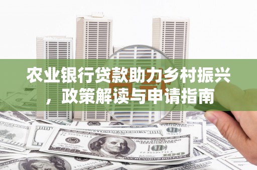 赞皇农业银行贷款助力乡村振兴，政策解读与申请指南