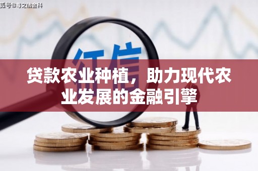 赞皇贷款农业种植，助力现代农业发展的金融引擎