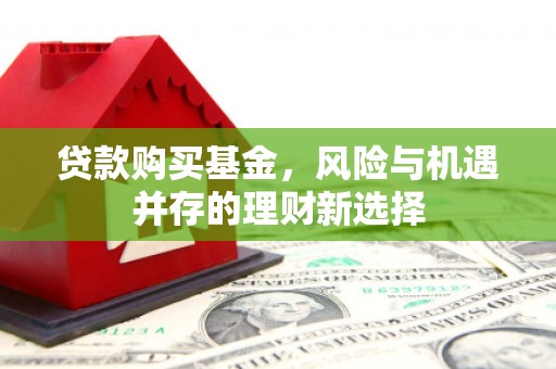 赞皇贷款购买基金，风险与机遇并存的理财新选择