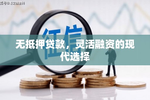 赞皇无抵押贷款，灵活融资的现代选择