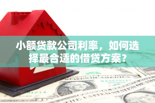 赞皇小额贷款公司利率，如何选择最合适的借贷方案？