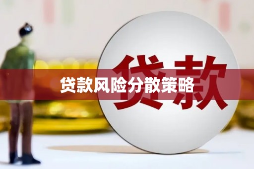 赞皇贷款风险分散策略