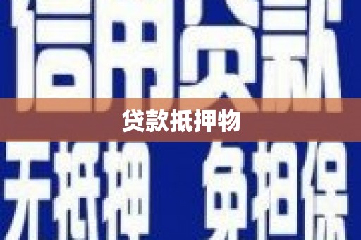 赞皇贷款抵押物