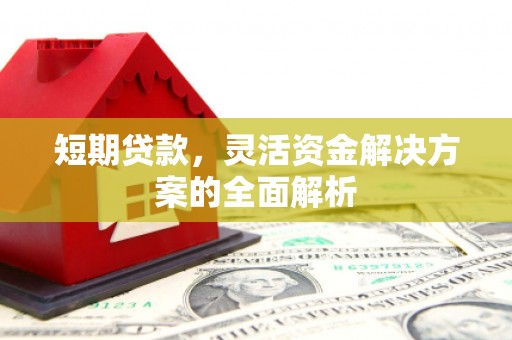 赞皇短期贷款，灵活资金解决方案的全面解析