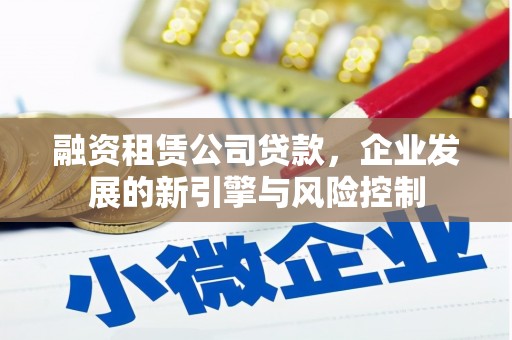 赞皇融资租赁公司贷款，企业发展的新引擎与风险控制