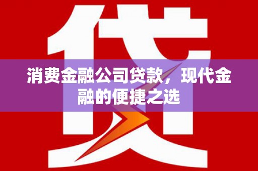 赞皇消费金融公司贷款，现代金融的便捷之选