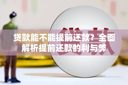 赞皇贷款能不能提前还款？全面解析提前还款的利与弊