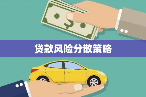 赞皇贷款风险分散策略