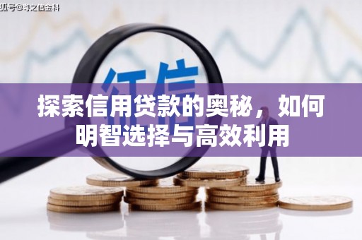 赞皇探索信用贷款的奥秘，如何明智选择与高效利用