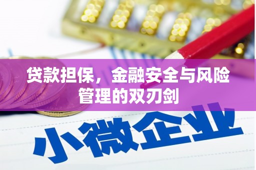 赞皇贷款担保，金融安全与风险管理的双刃剑