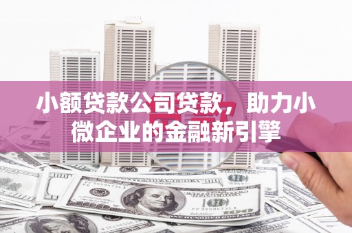 赞皇小额贷款公司贷款，助力小微企业的金融新引擎
