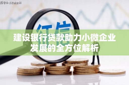 赞皇建设银行贷款助力小微企业发展的全方位解析