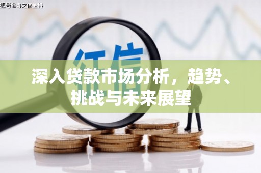 赞皇深入贷款市场分析，趋势、挑战与未来展望